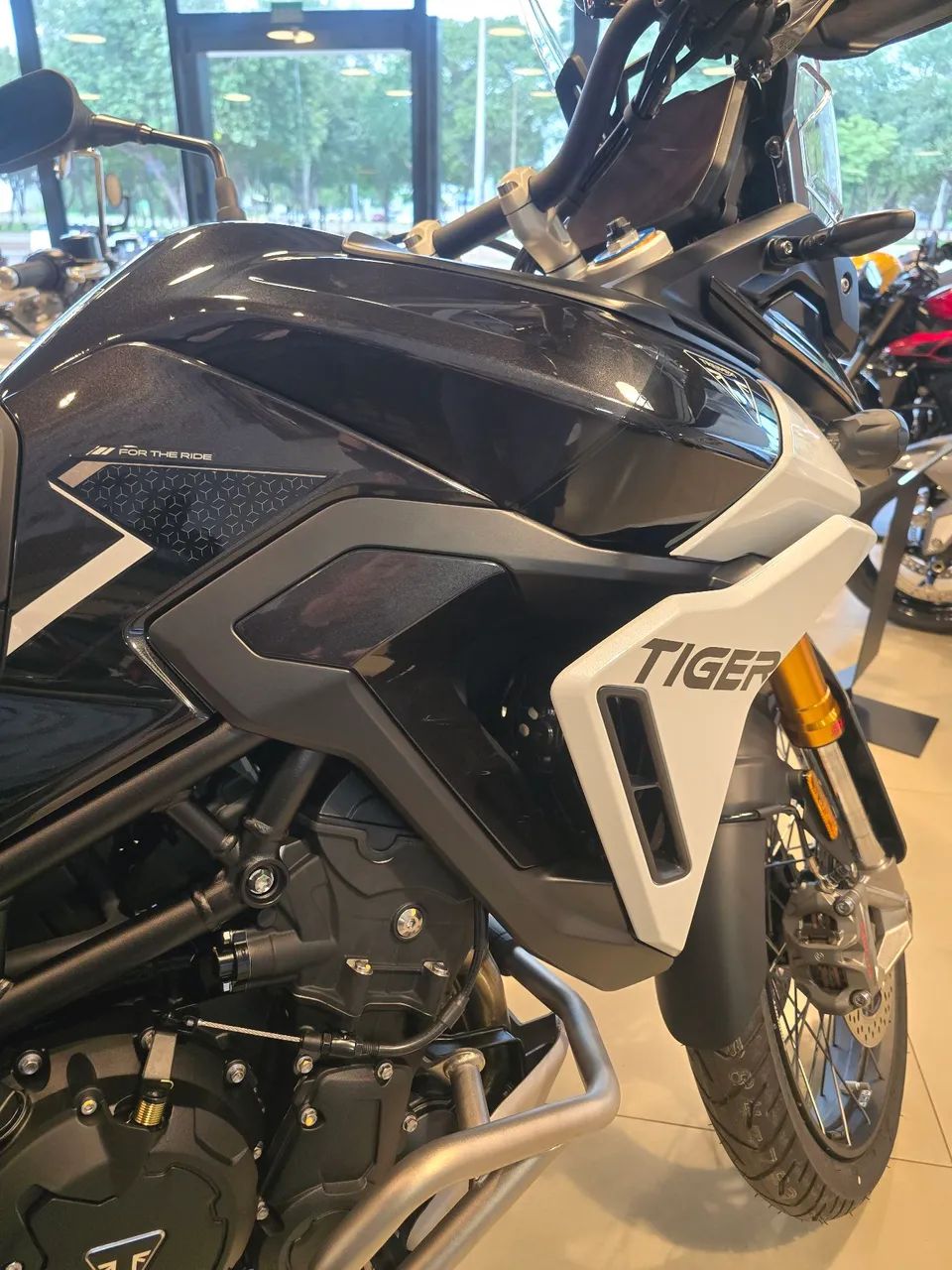 Tiger 900 Rally Pro