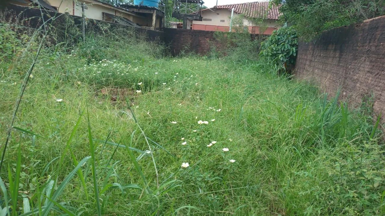 Serviço de roçagem top d linha  - Foto 5