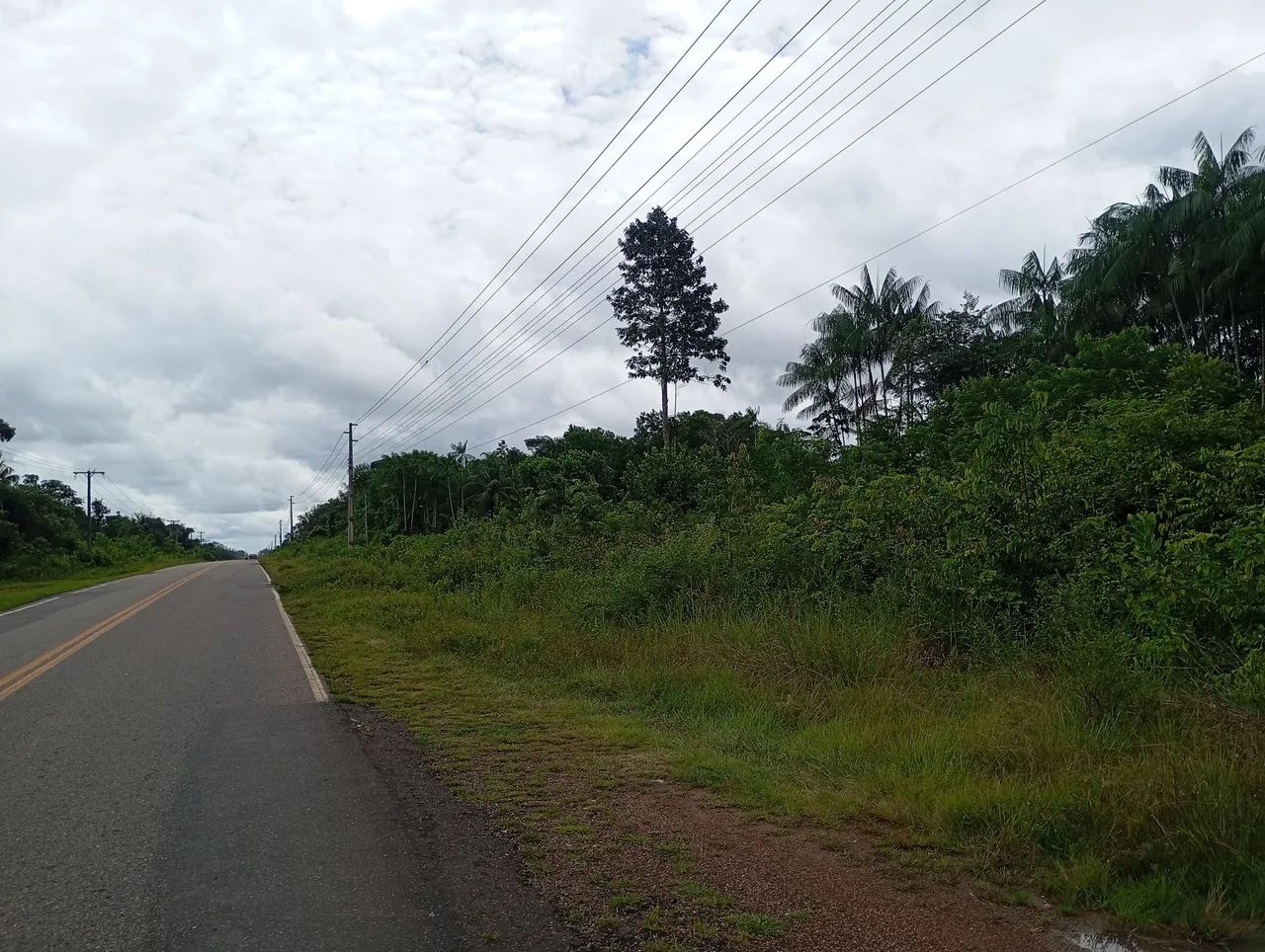 TERRENO COM IGARAPÉ EM BUJARU - Foto 3