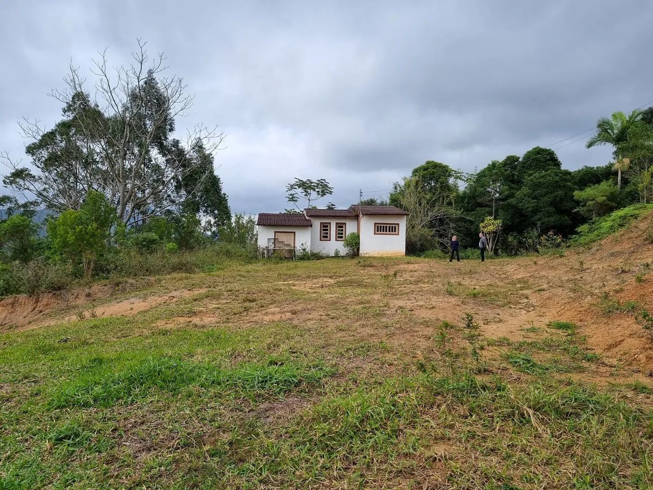 Sítio com 11 hectares I Estiva I Biguaçu