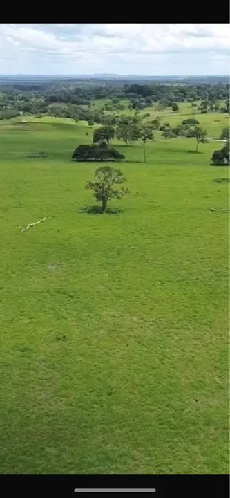 Fazenda 205 Alqueire terra preta e vermelha pronta - Foto 2