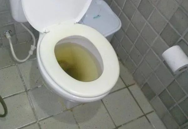 Desentupidora geral 24h - Foto 2