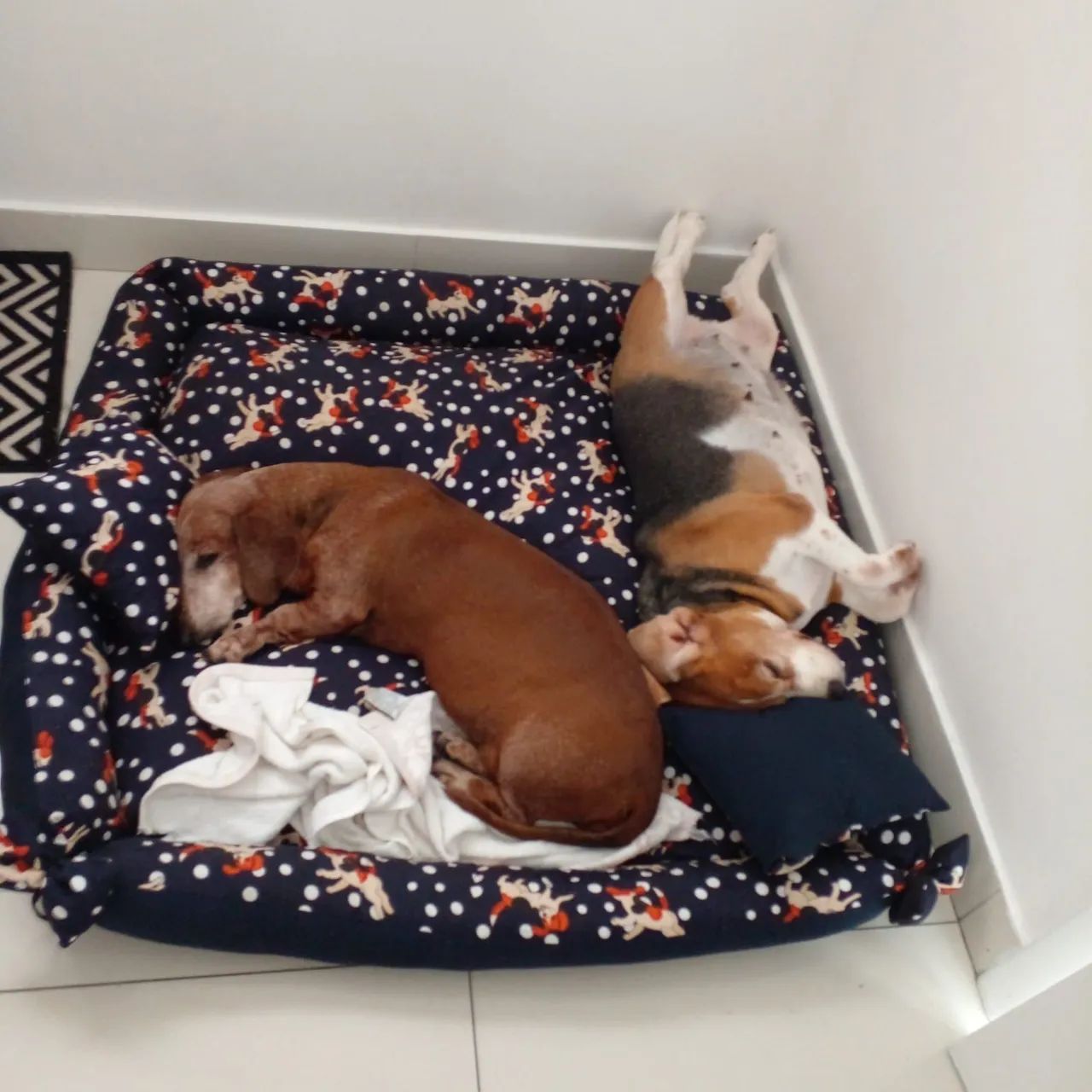 Cama para cães - Foto 5