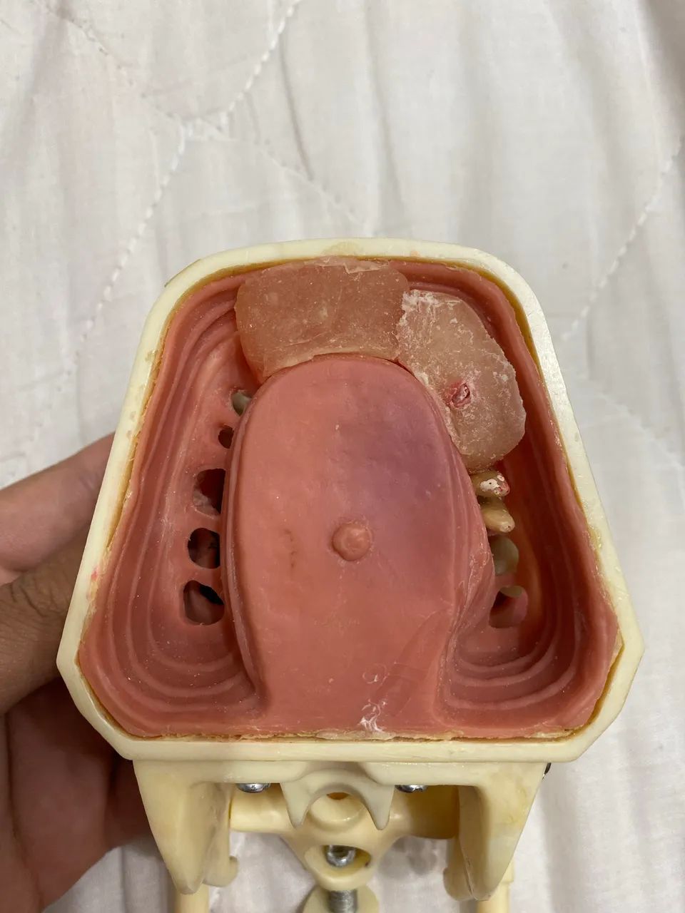 Manequim odontológico para endo (usado) Dent Art  - Foto 4