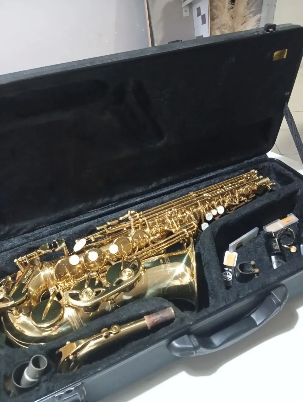 Sax alto Michael 