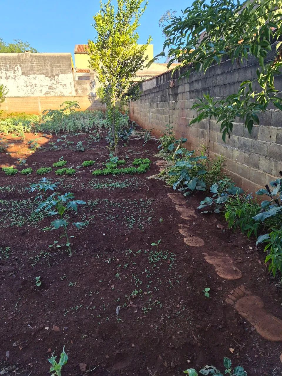 Rua José arigo  - Foto 2
