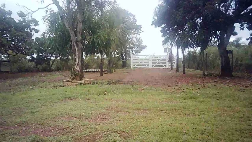 CHÁCARA EM PADRE BERNARDO GOIÁS!  - Foto 2