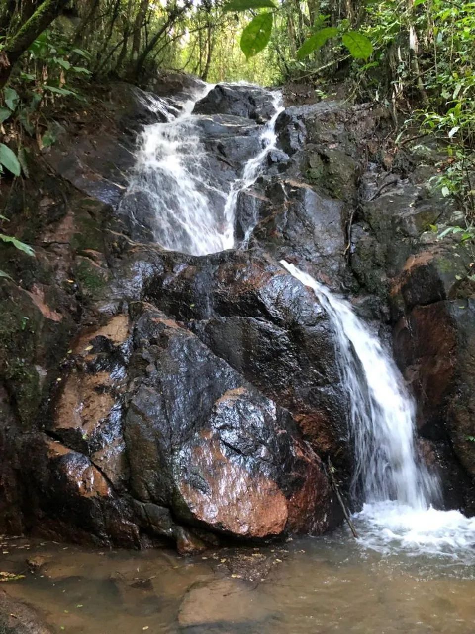 52 Hectares * Aceita permuta - Foto 3