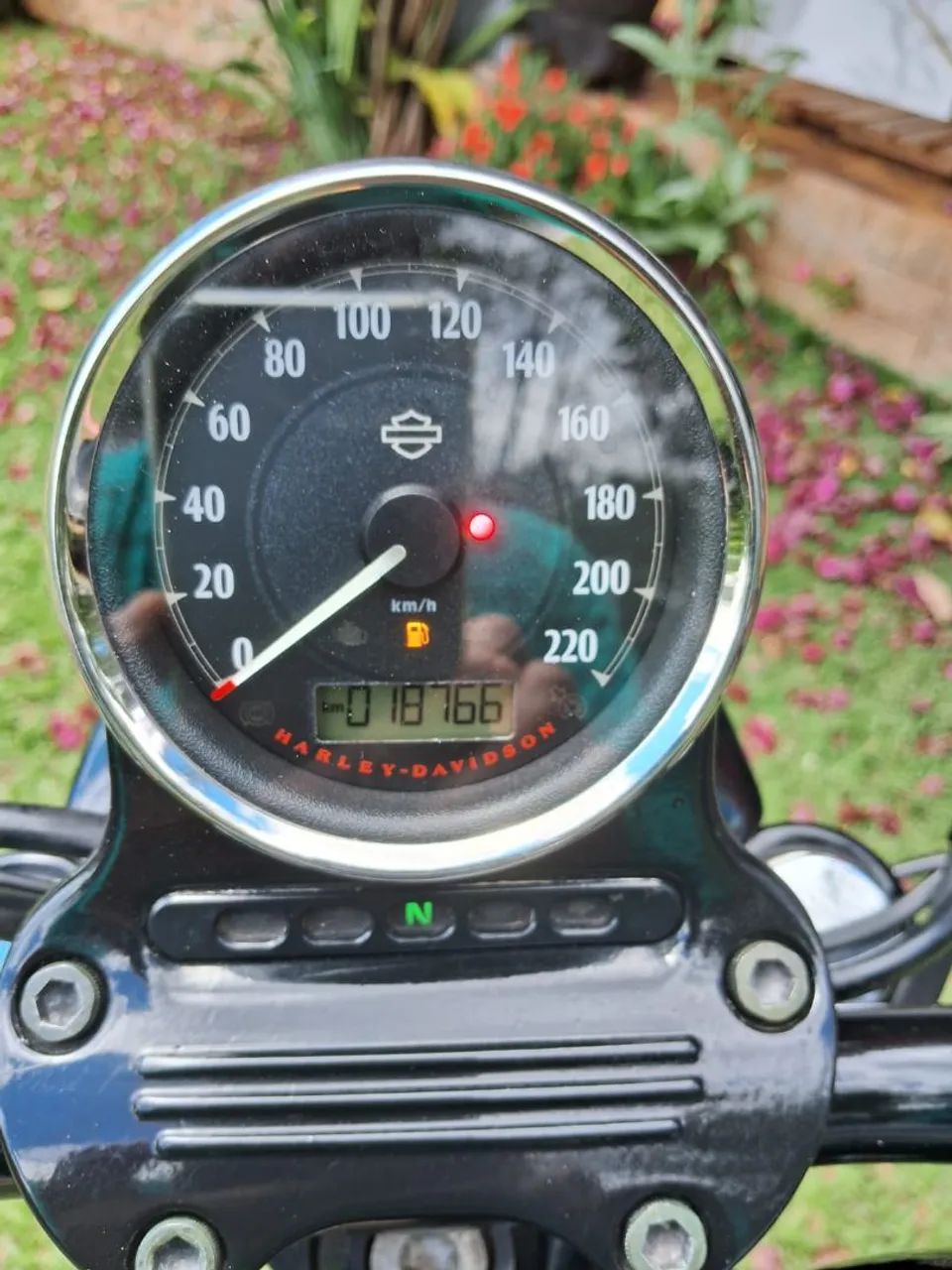 Harley davidson 883 Iron  - Foto 4