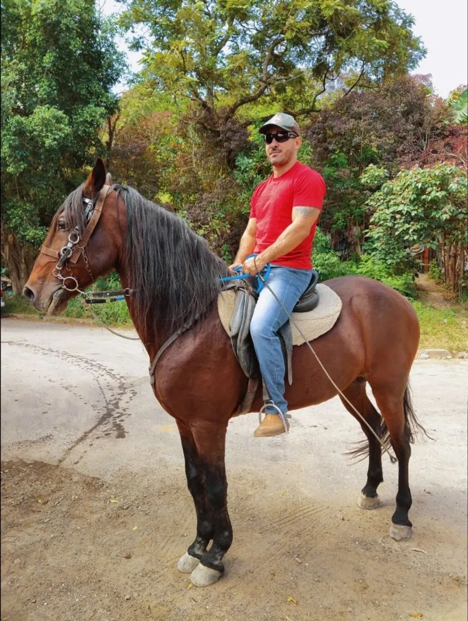 CAVALO PURO SANGUE LUSITANO OPORTUNIDADE ÚNICA!!! - Foto 6
