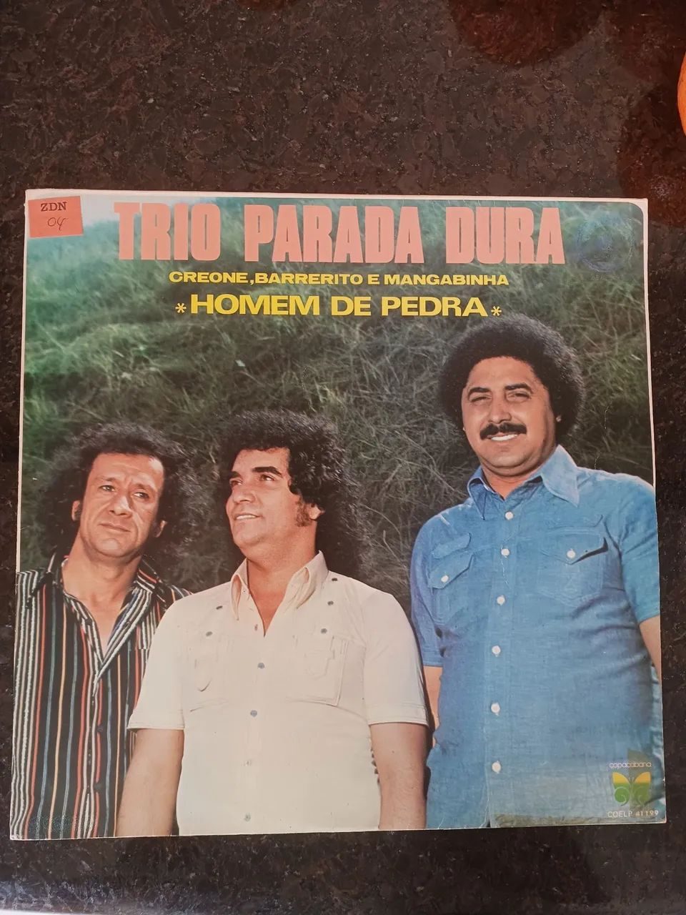 LP Disco vinil- Trio Parada Dura