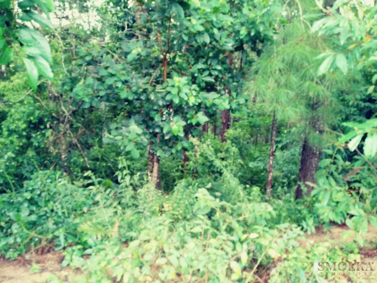 Terreno a venda na Vargem Pequena - Foto 3