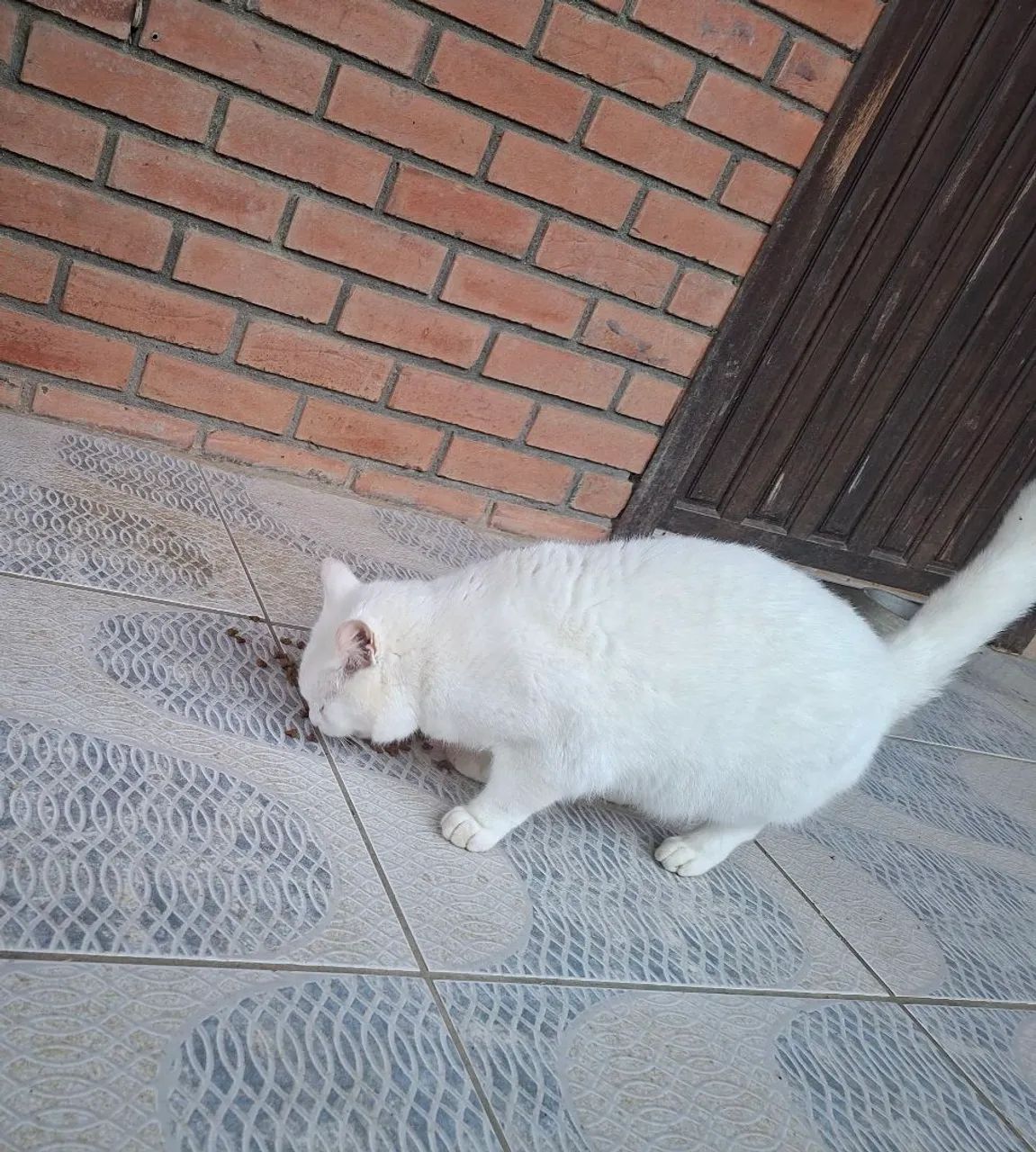Doação 