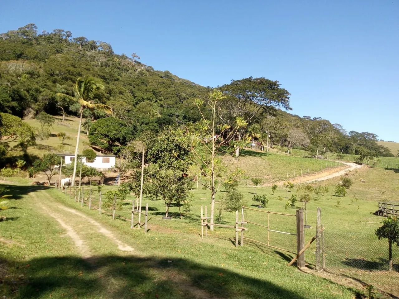 VENDO SÍTIO em Rocha leão - Foto 2