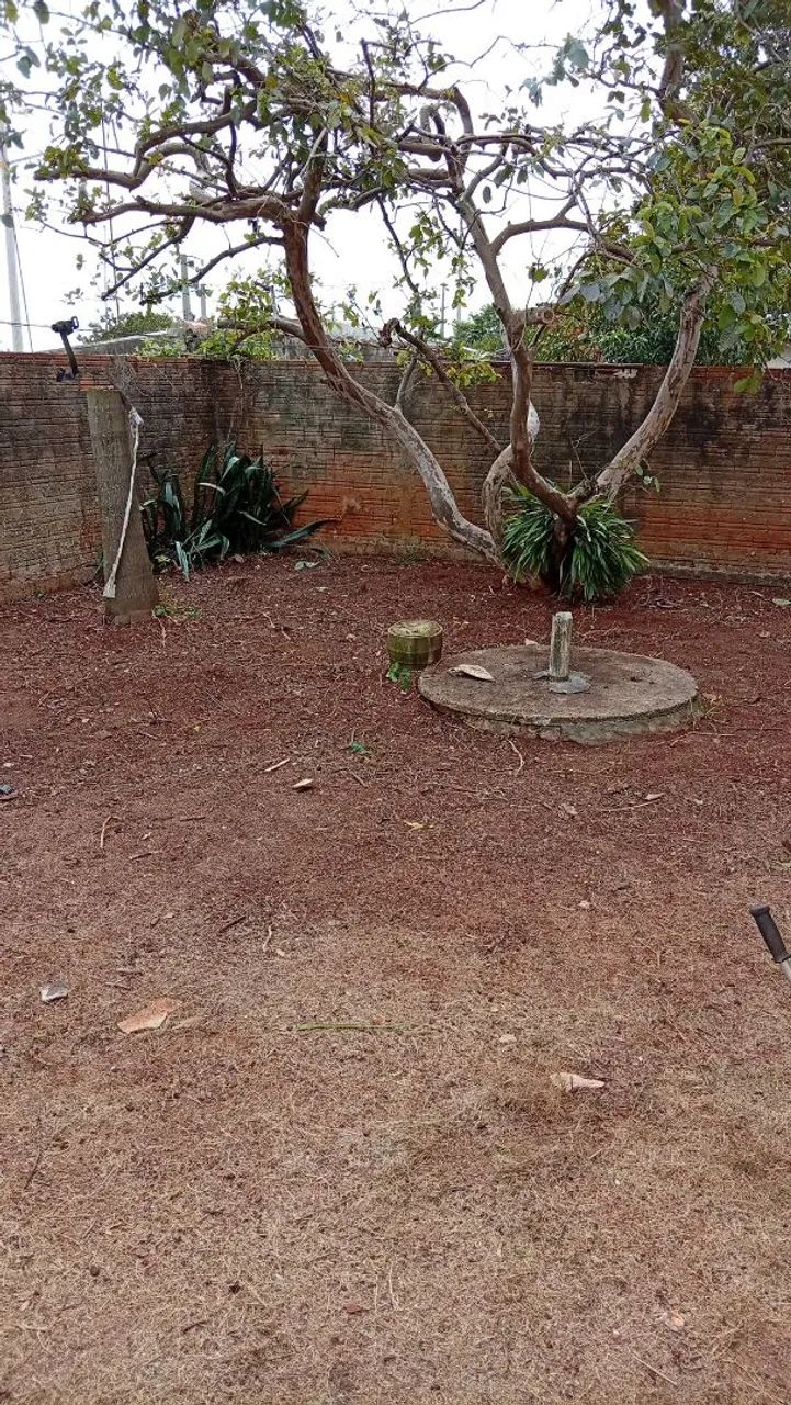 Jardinagem  - Foto 4