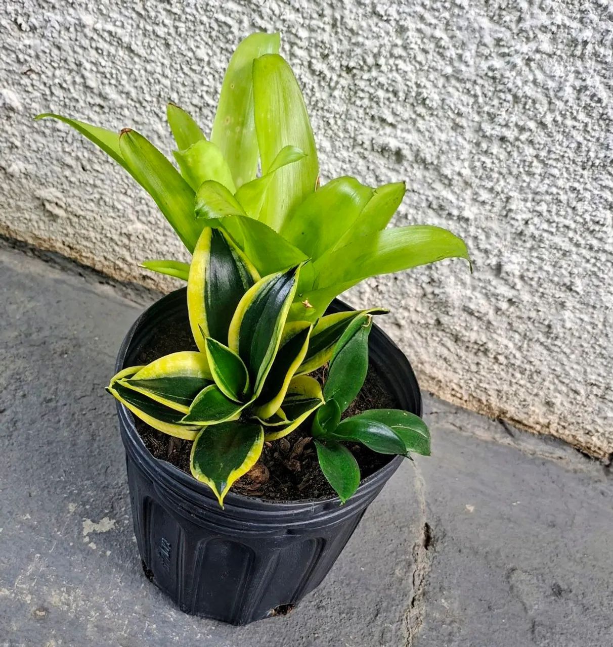 Vendo  - Foto 2