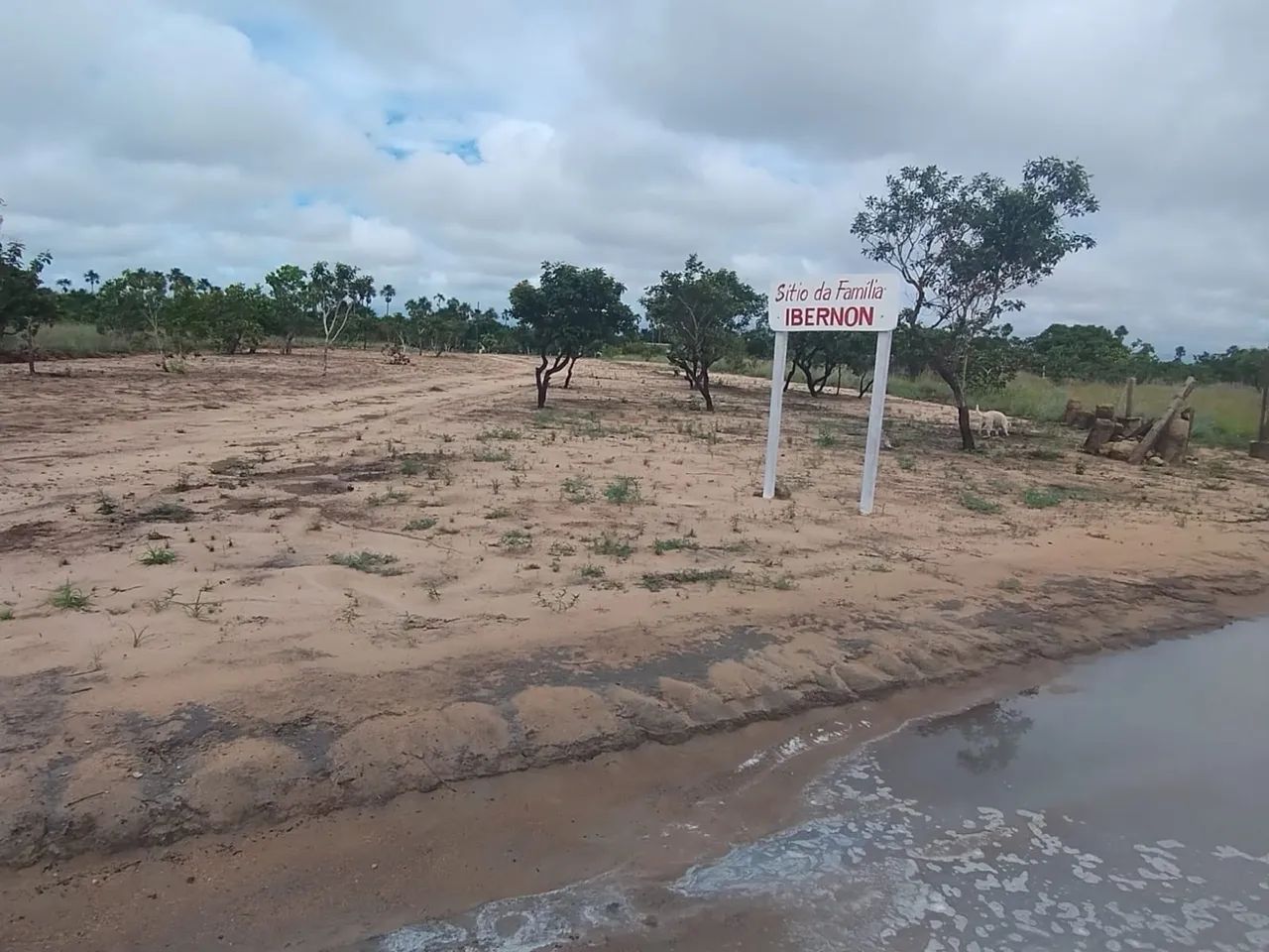 Sítio em Alto Alegre - Vicinal do Au Au - 5.000m² com Igarapé e Internet! - Foto 3