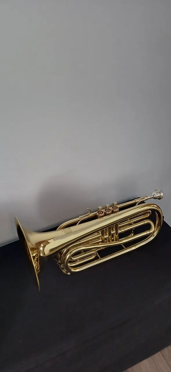 VENDO TROMBONITO  - Foto 3