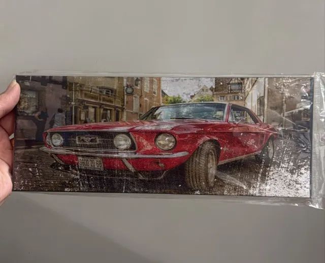 Placa de carro vintage metal 