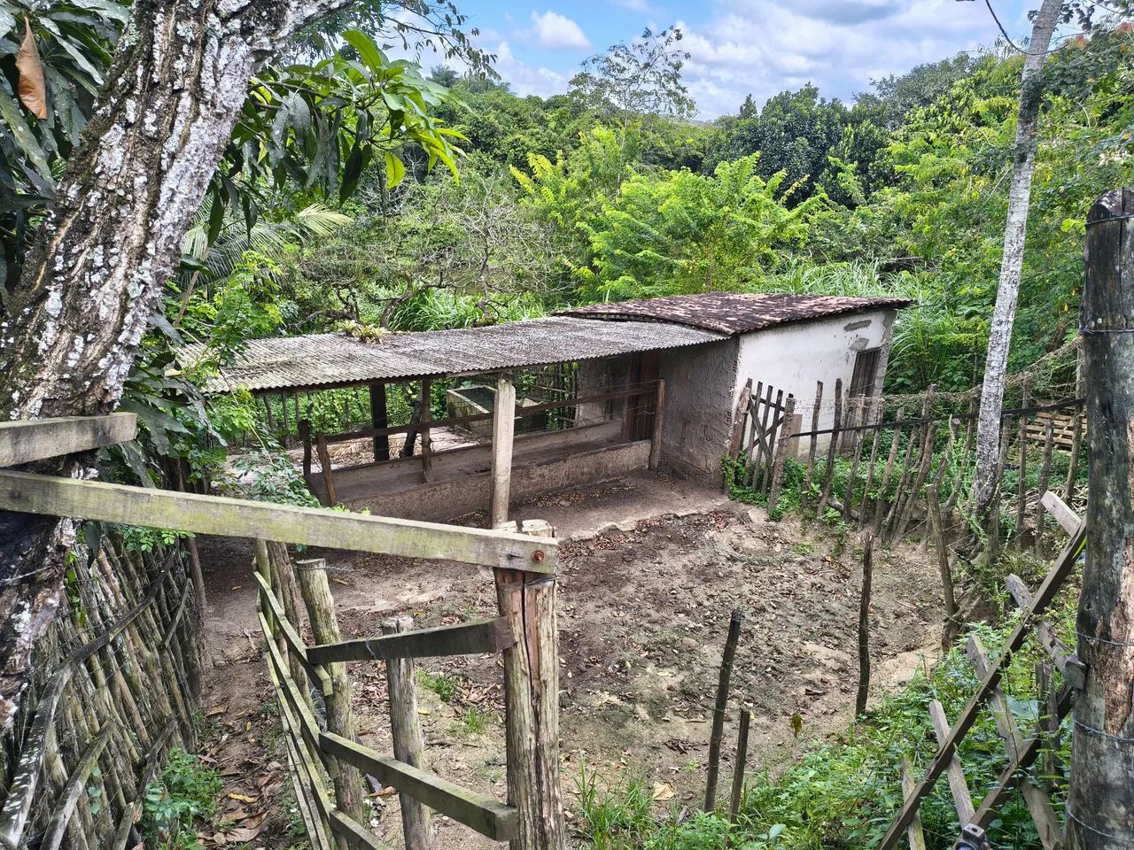 Venda de Sítio 