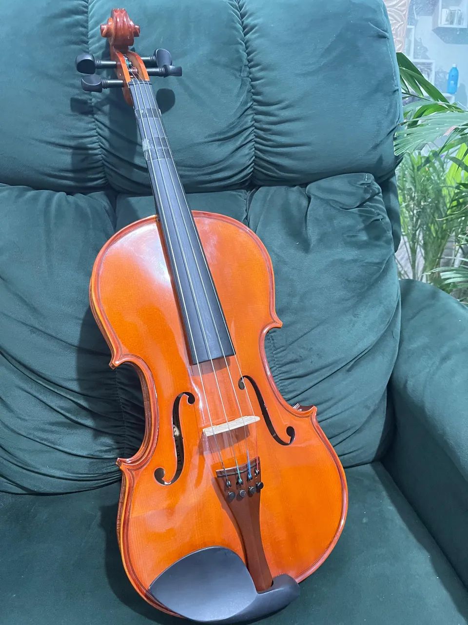 Viola 4/4 Completo + Arco e Estojo | Ótimo Estado de Conservação - Foto 4
