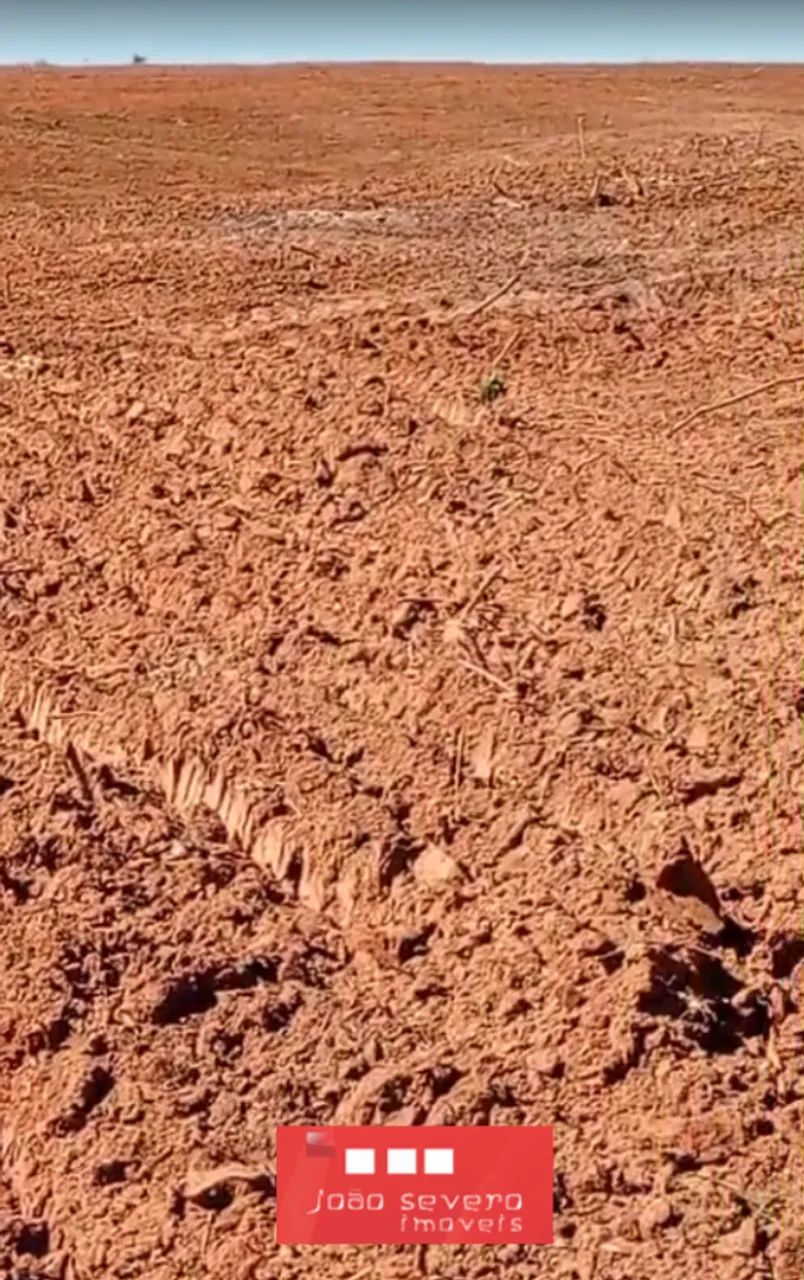 Fazenda para Venda em Curimatá - Foto 5