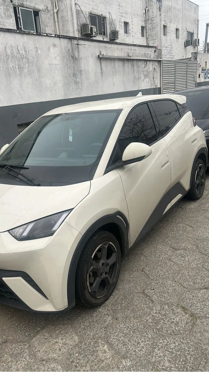 Aluguel byd dolphin mini (para app)