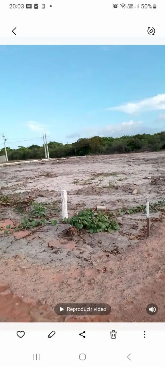 Terrenos em Lucena - Foto 5