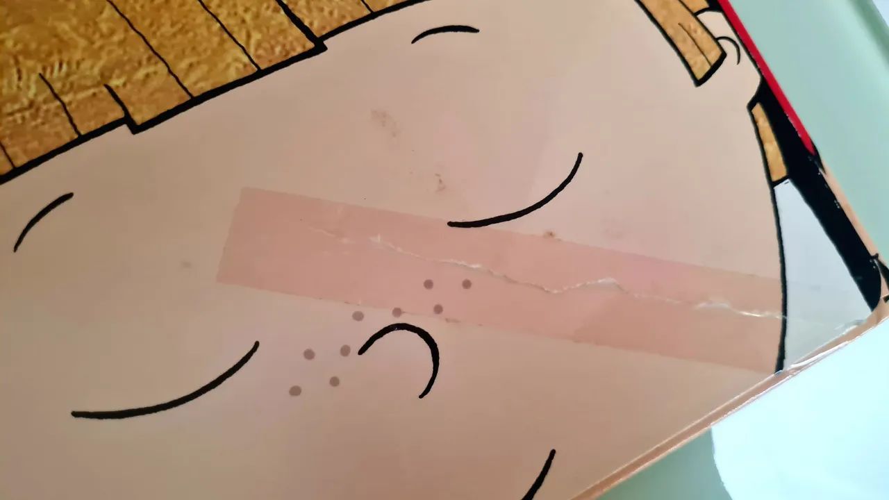 Livro  O corpo de Bóris - Foto 4