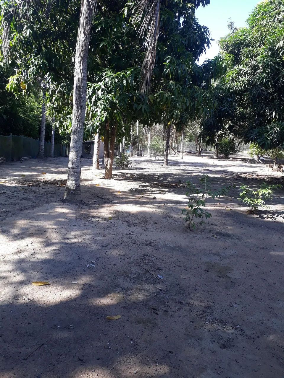 Vendo - Foto 4