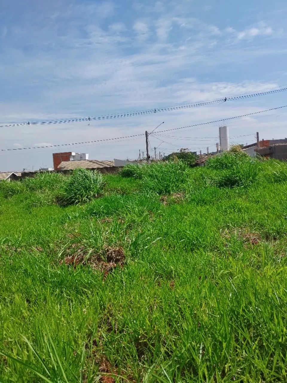 Foto - Santa Bárbara DOeste - Vila Mollon IV