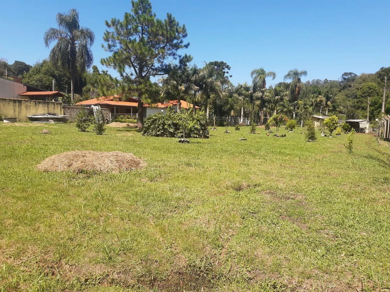 Lindo Sítio  - Foto 5