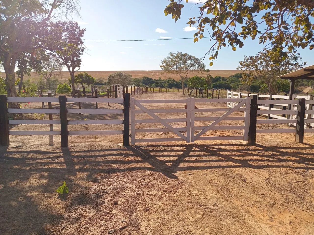Fazenda de 62 alqueires  - Foto 2