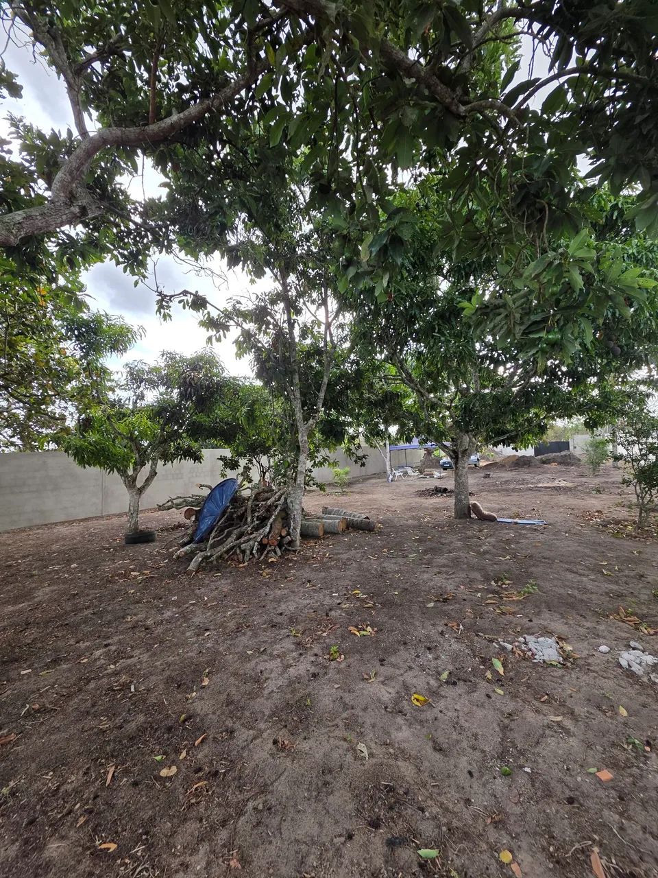 Chácara próximo a Campina - Foto 10