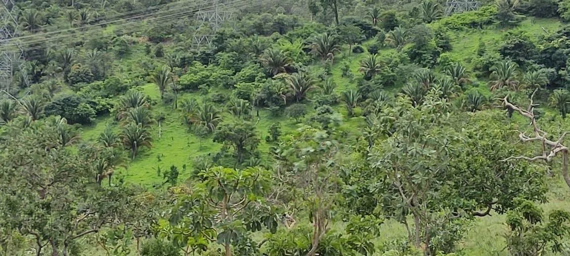 Fazenda em Niquelândia-go - Foto 4