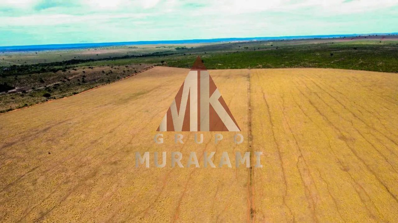 FAZENDA - AQUIDAUANA - MS - Foto 3