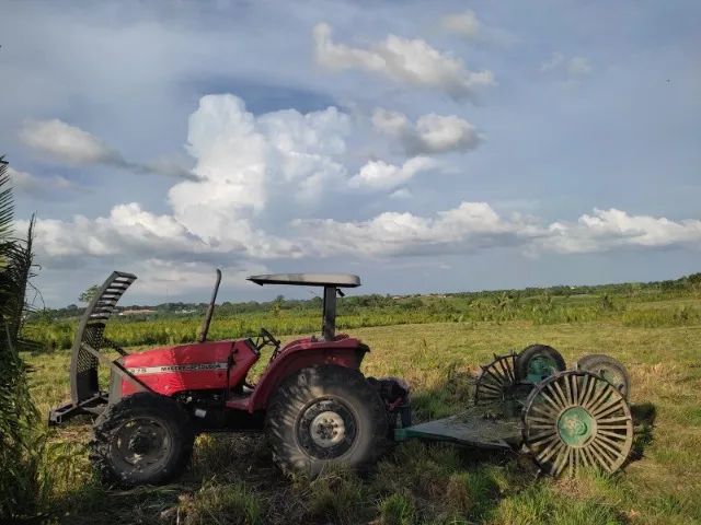 Trator Massey Ferguson 275 + Implementos ? Conjunto Completo - Foto 2