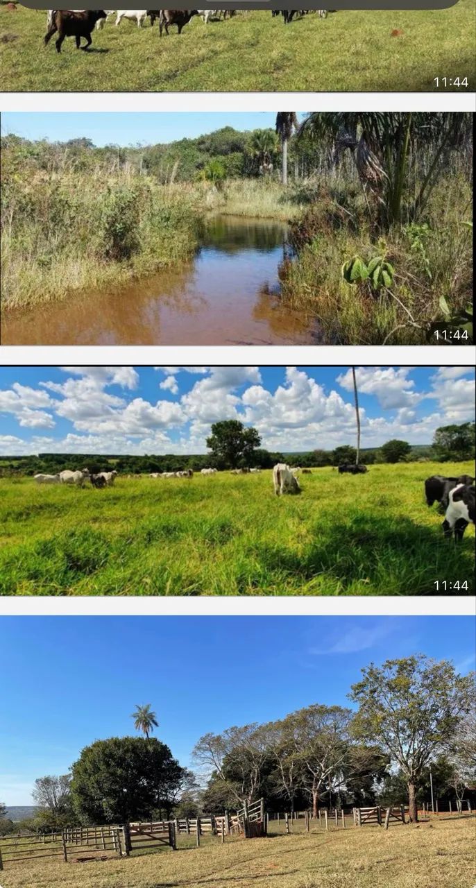 Fazenda próximo Uberlândia 93 hectares  - Foto 3