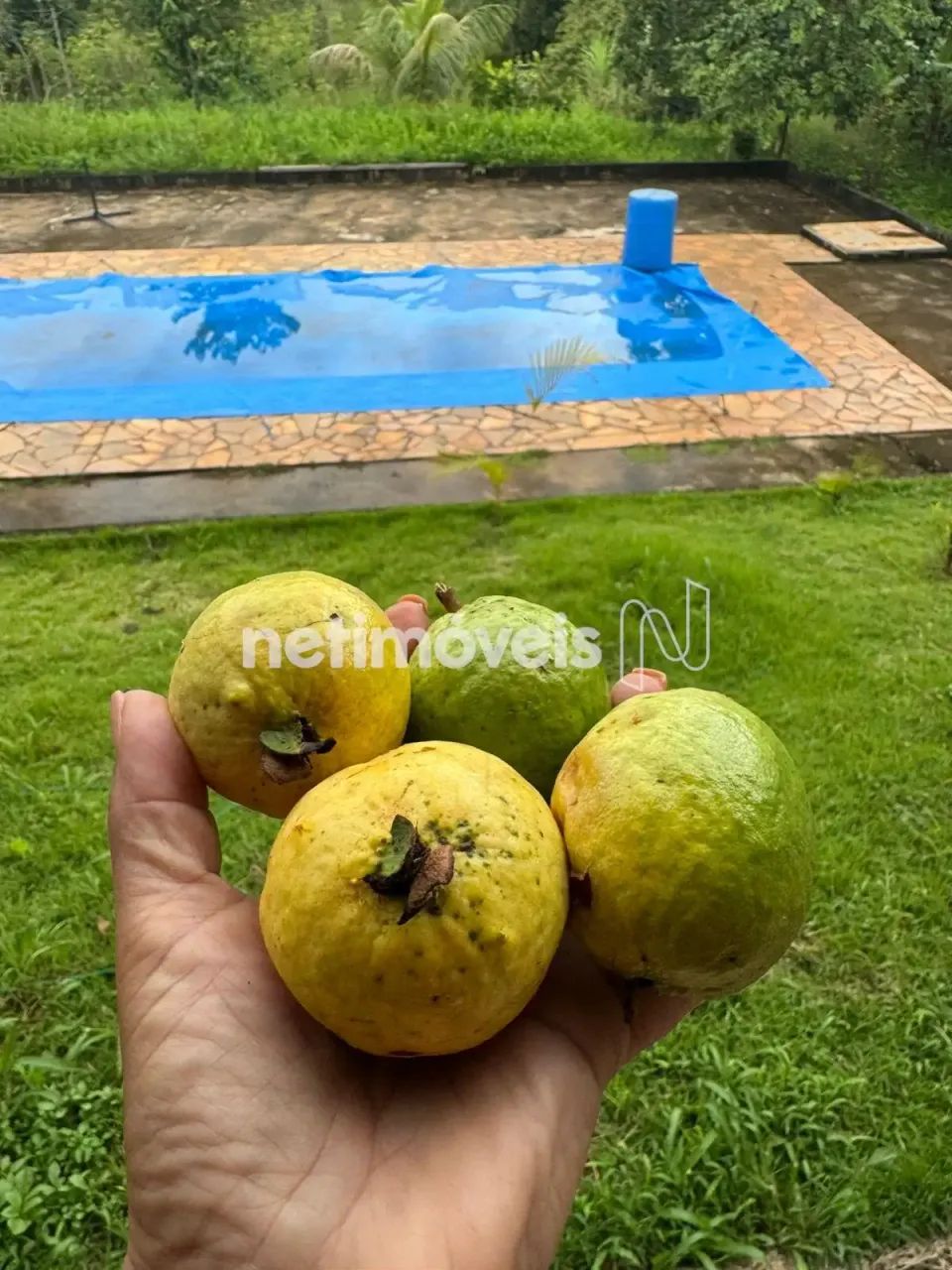 Venda Sítio Peroba de Baixo Piracema - Foto 5