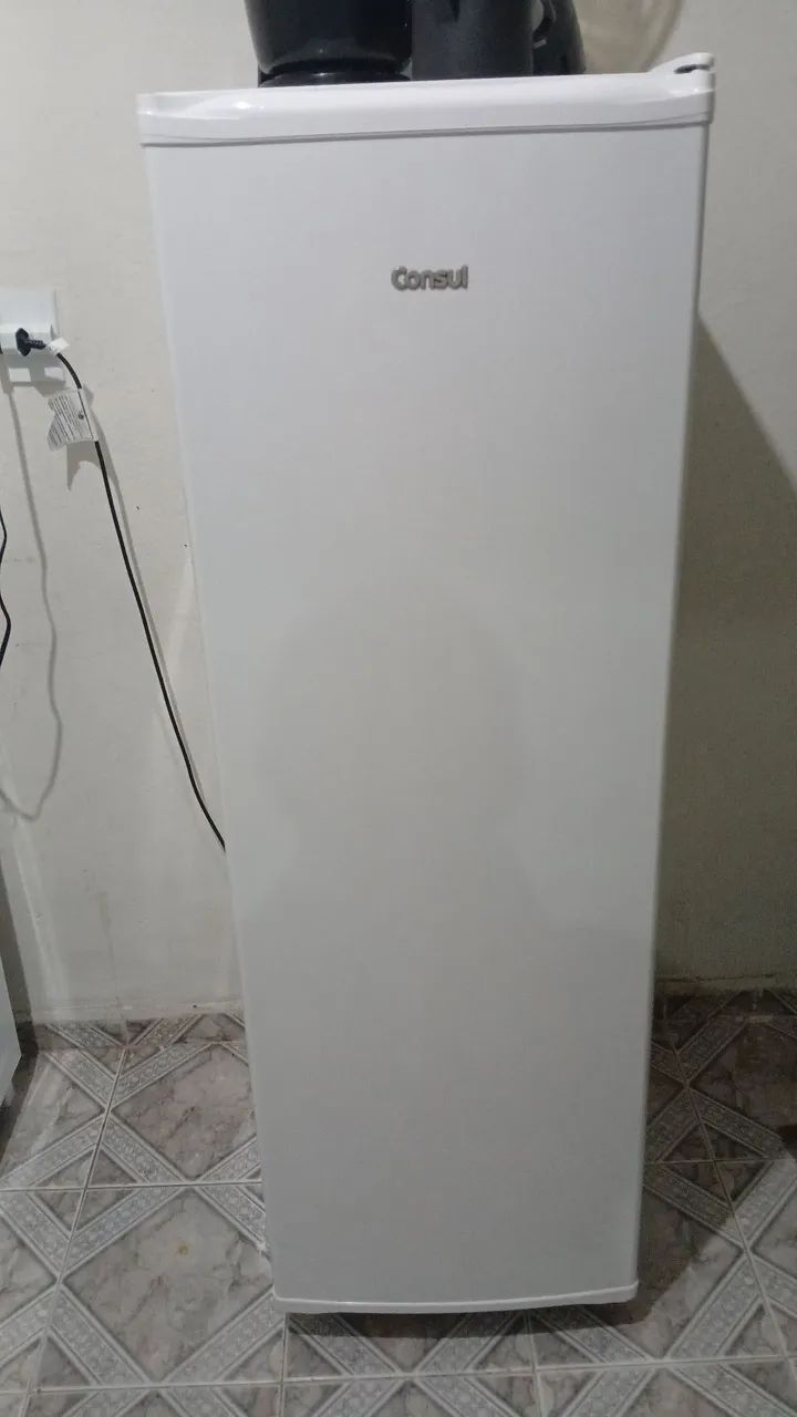 Frizer horizontal  consul - Foto 3