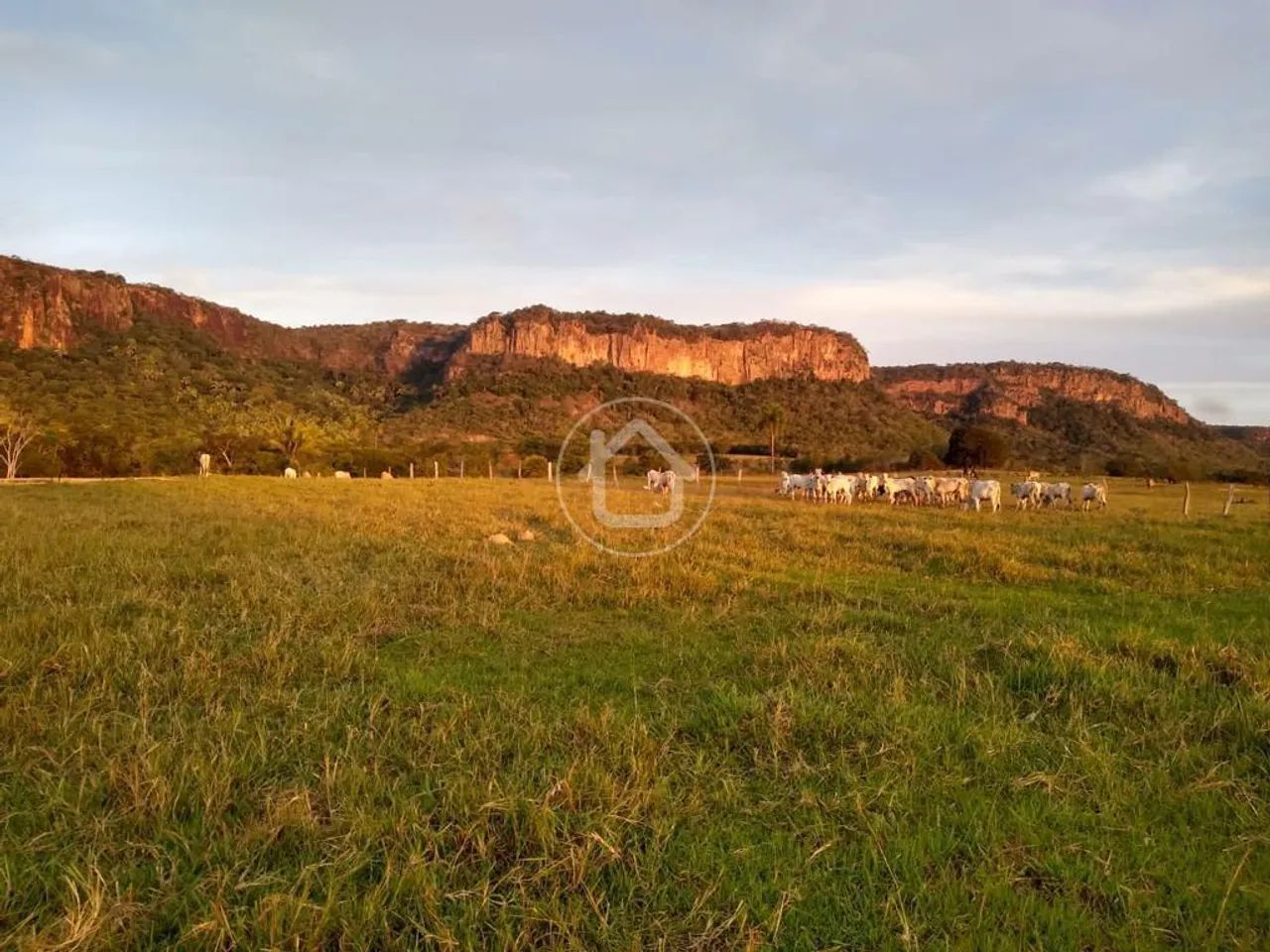FAZENDA BRILHO DA PEDRA RIO VERDE MS - Foto 3