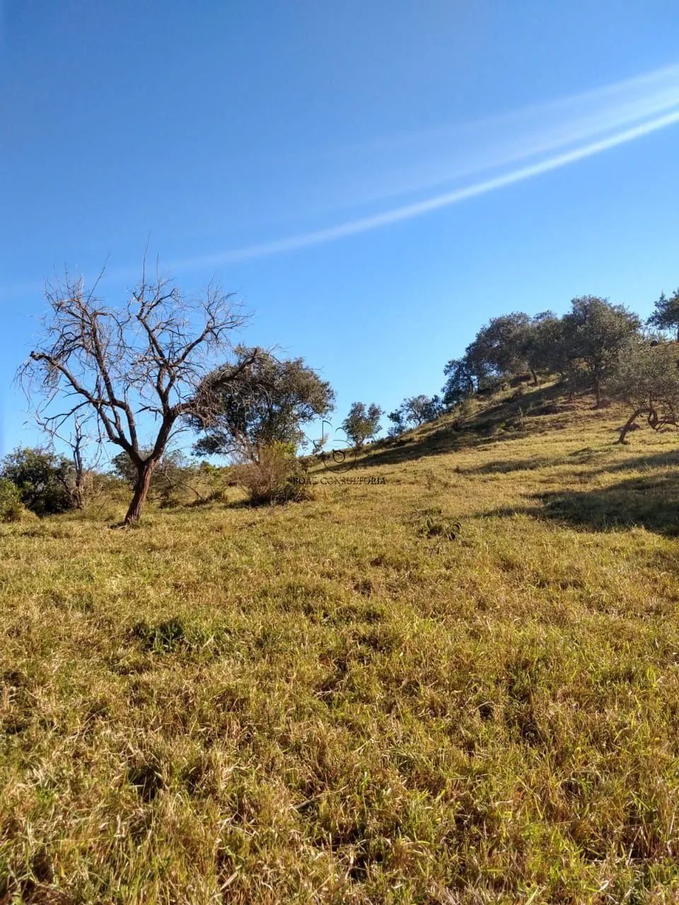 Área de Terra com 178.400m² Próxima a Condomínios em Sorocaba - Foto 3