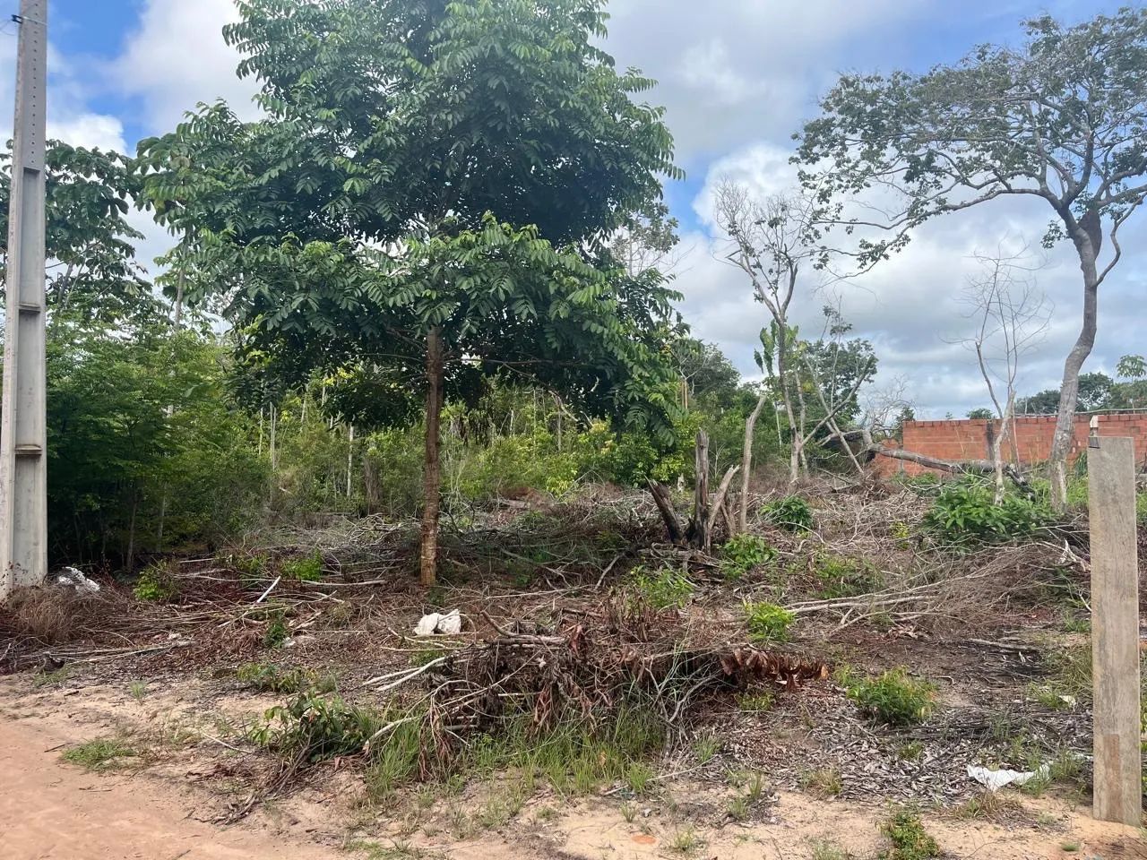 Lote 10x30 no Pajuçara - Foto 2