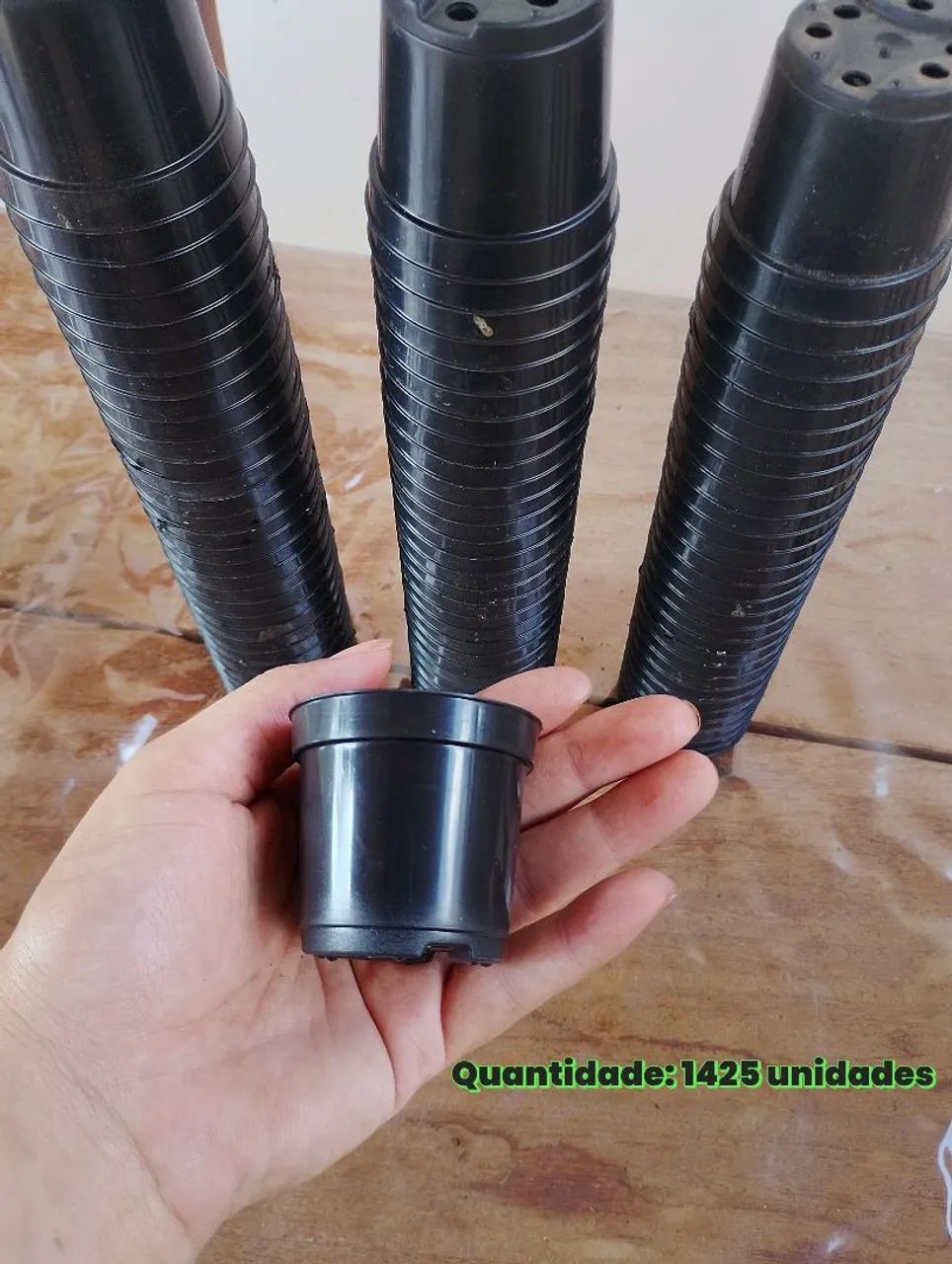 Vasos de plantas - Foto 4