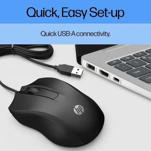 Mouse HP 100