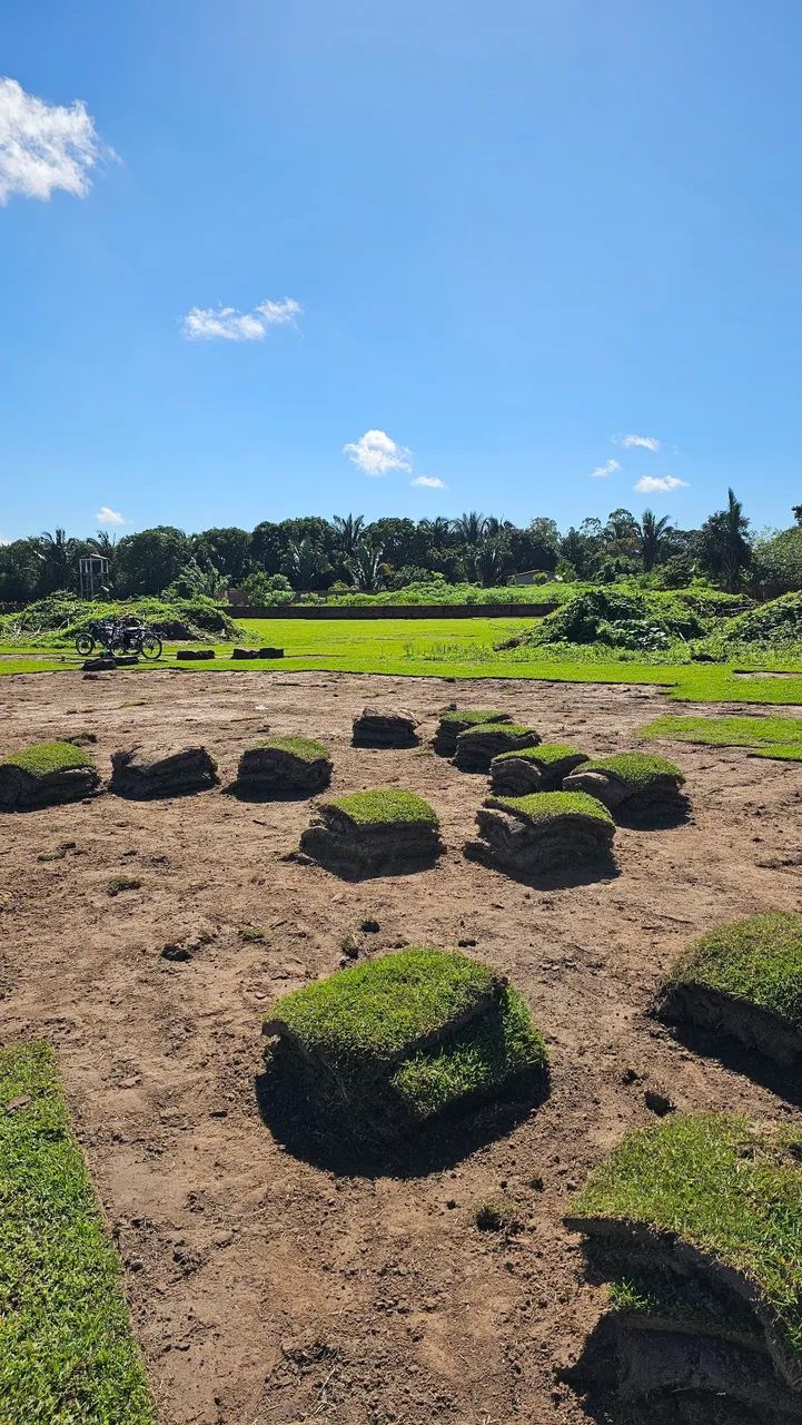 GRAMA ESMERALDA SAO LUIS / SÃO JOSÉ DE RIBAMAR - MA - Foto 3