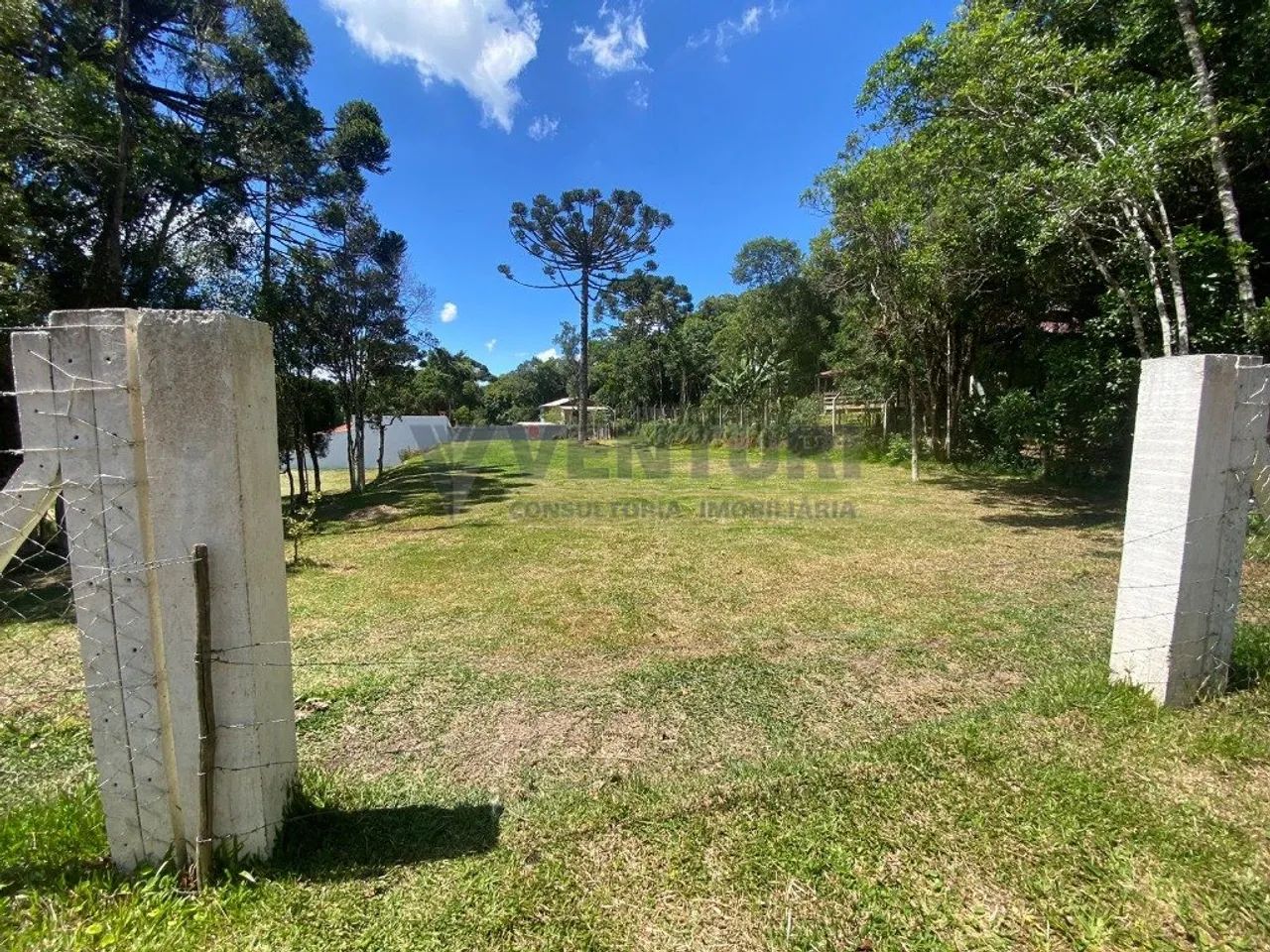 Lotes de terreno com 1.042m² - Estrada da Roseira - Foto 2
