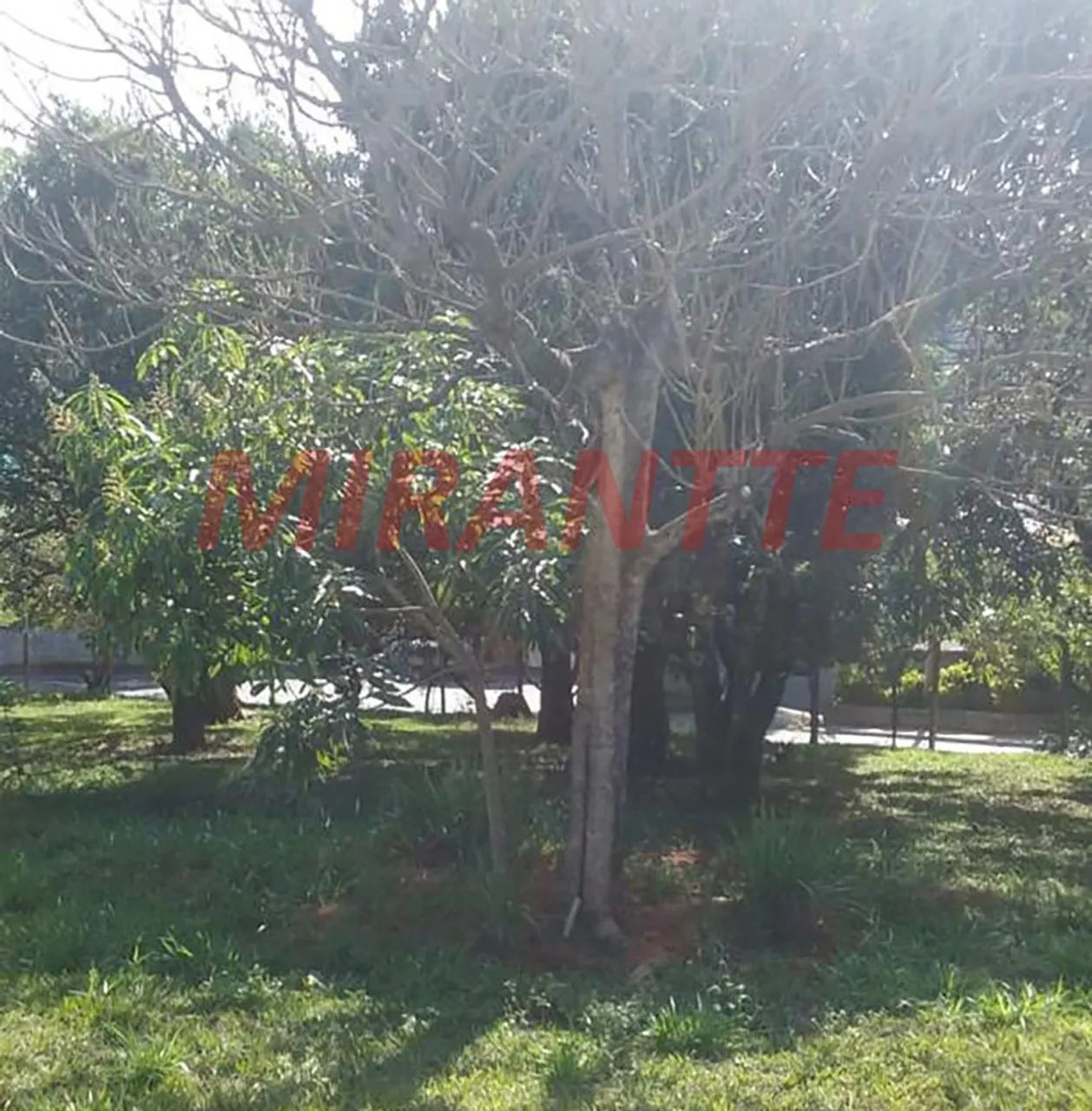 Terreno em Jardim Imperial - Foto 5