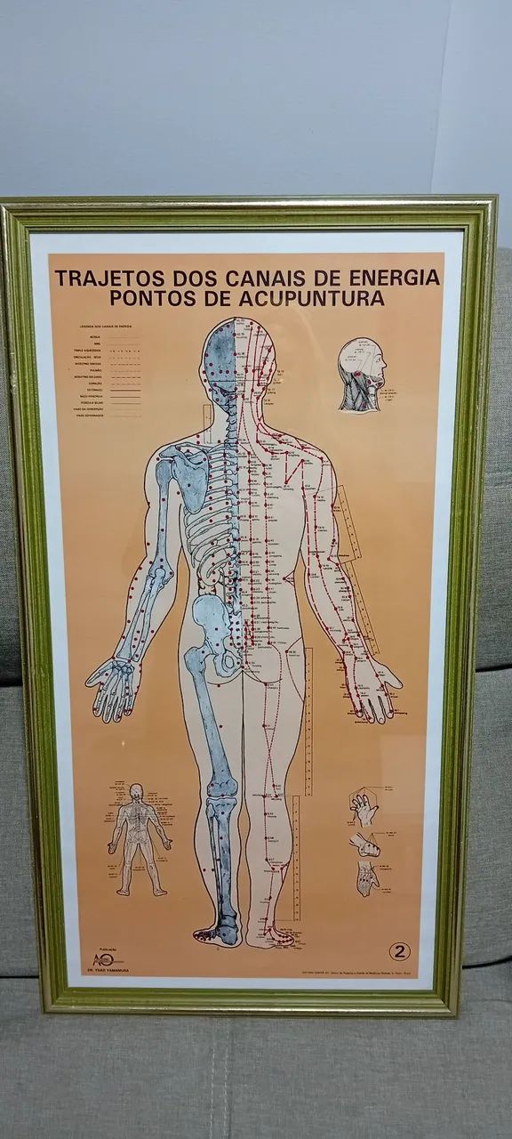 Quadros de vidros e boneco acupuntura  - Foto 2