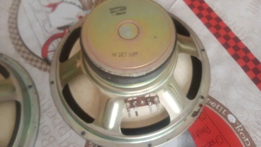 Alto falantes Gradiente  10 polegadas originais - Foto 3